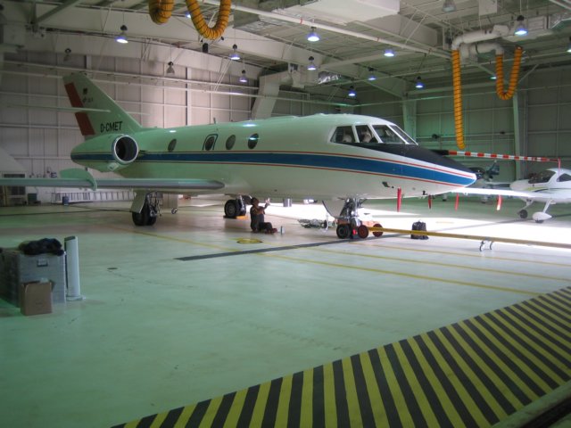 falcon2.jpg