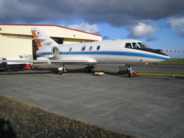 falcon6.jpg