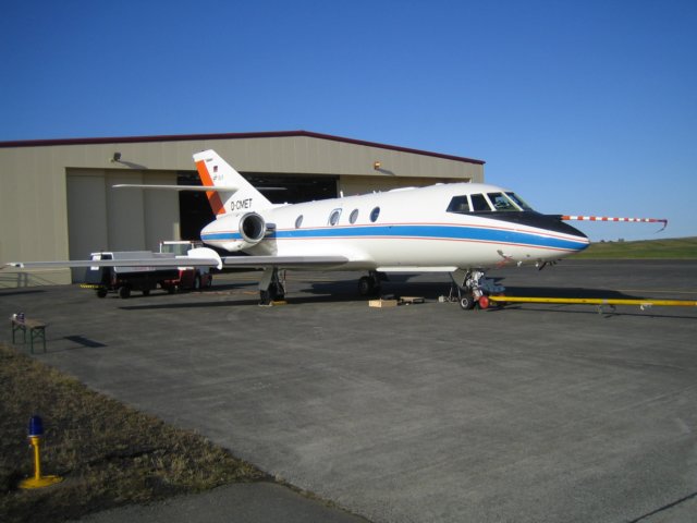 falcon7.jpg
