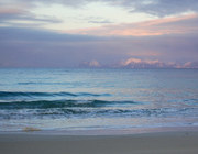 View in real size!