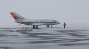 View in real size!