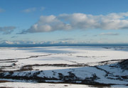 View in real size!