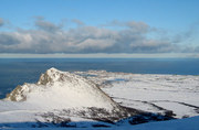 View in real size!
