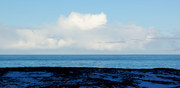 View in real size!