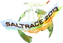 saltracelogo