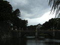 View in real size!