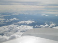 View in real size!