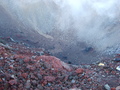 View in real size!