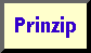 Prinzip