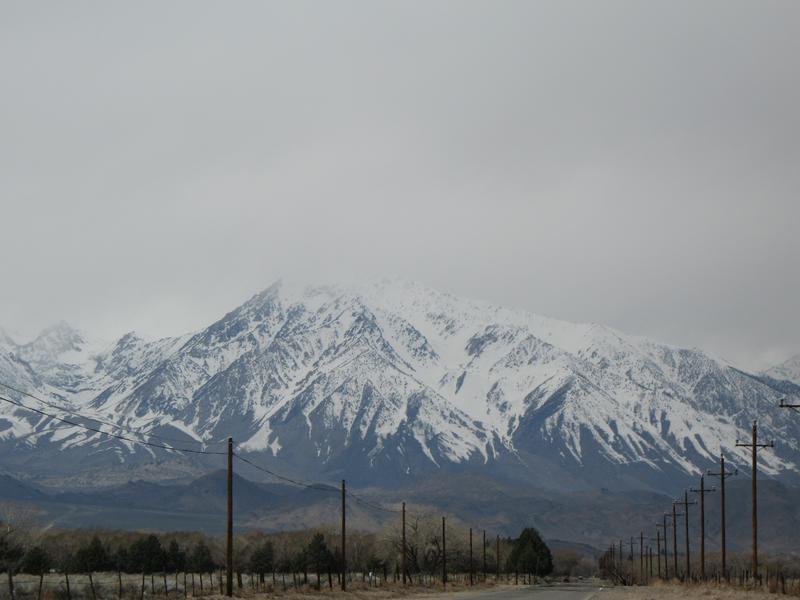 09 Apr 2006 18:59 UTC