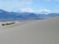 View in real size!